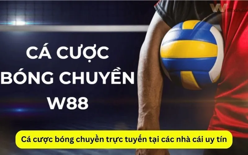 Cá cược bóng chuyền trực tuyến tại các nhà cái uy tín