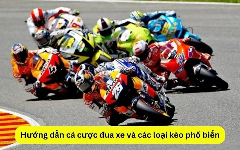 Hướng dẫn cá cược đua xe và các loại kèo phổ biến