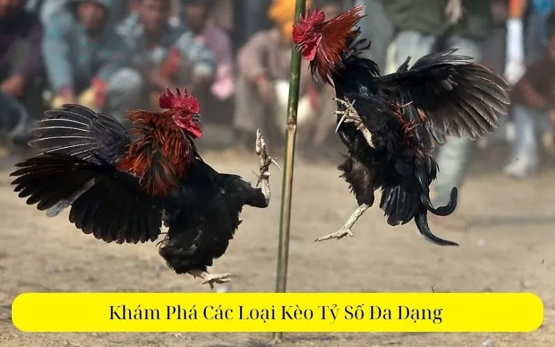 Khám Phá Các Loại Kèo Tỷ Số Đa Dạng